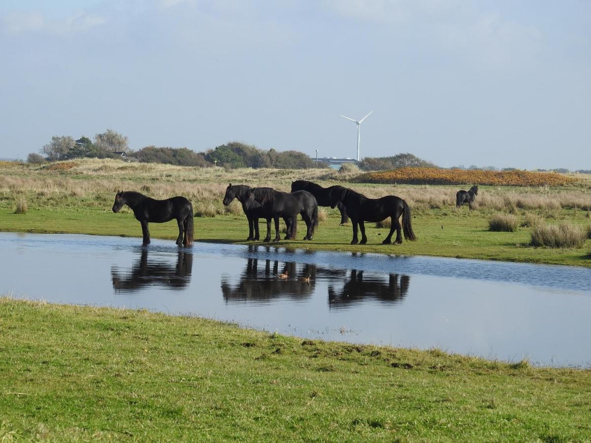 De Hut, In Natuurgebied En Vlakbij Het Strand Callantsoog Kültér fotó